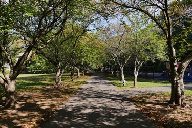 Canterbury Park