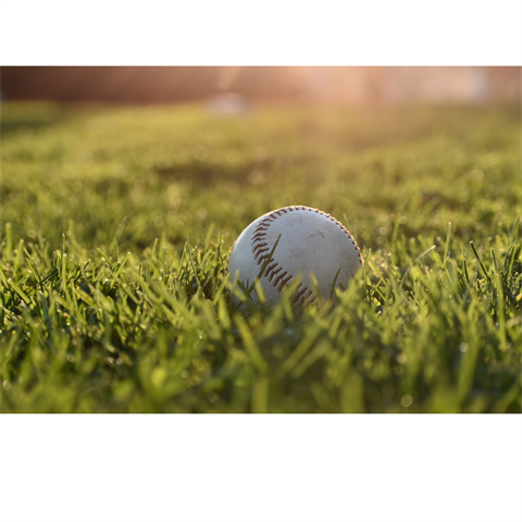 Baseball Photo