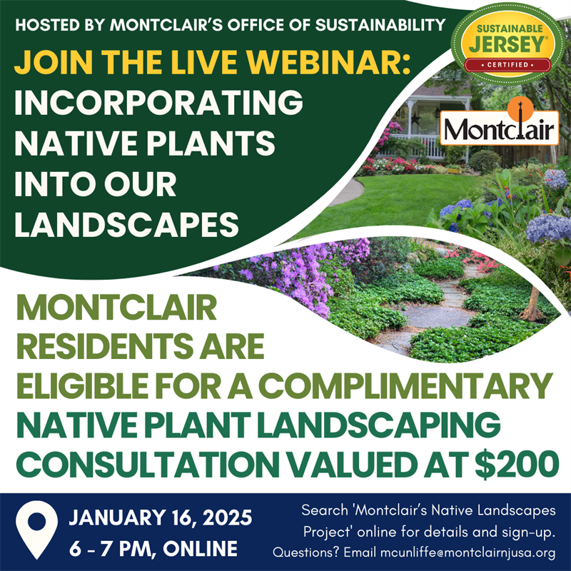 Native Landscapes Webinar.png