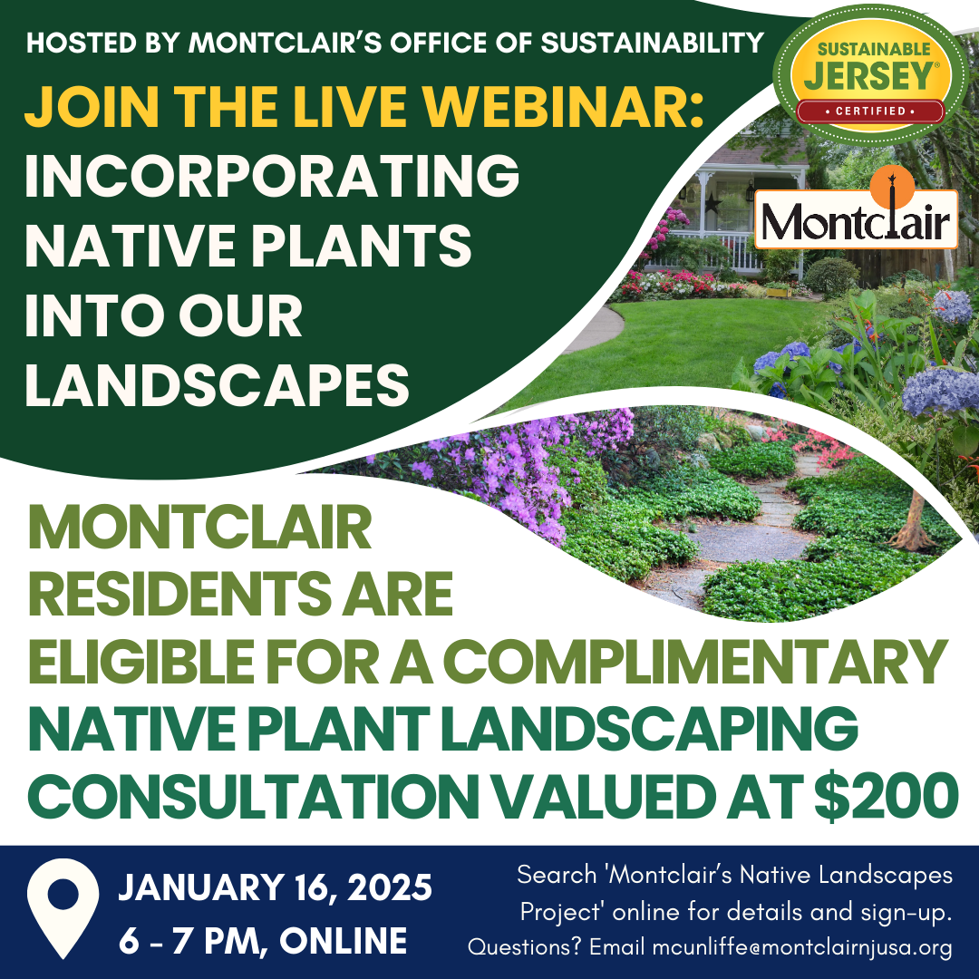 Native Landscapes Webinar.png