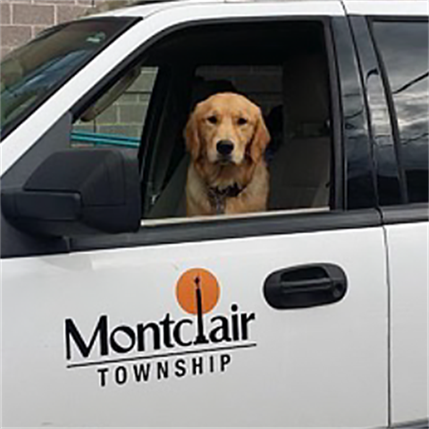 MTAS: Be Sure to Leash Your Dog